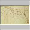 Studie einer Fluegelstruktur, um 1486-90.html